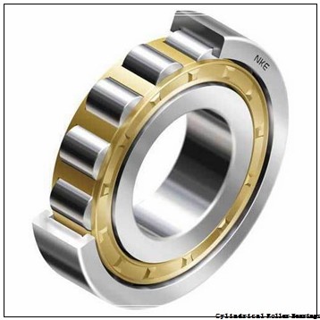 55 mm x 100 mm x 21 mm  NSK NUP 211 W Cylindrical Roller Bearings