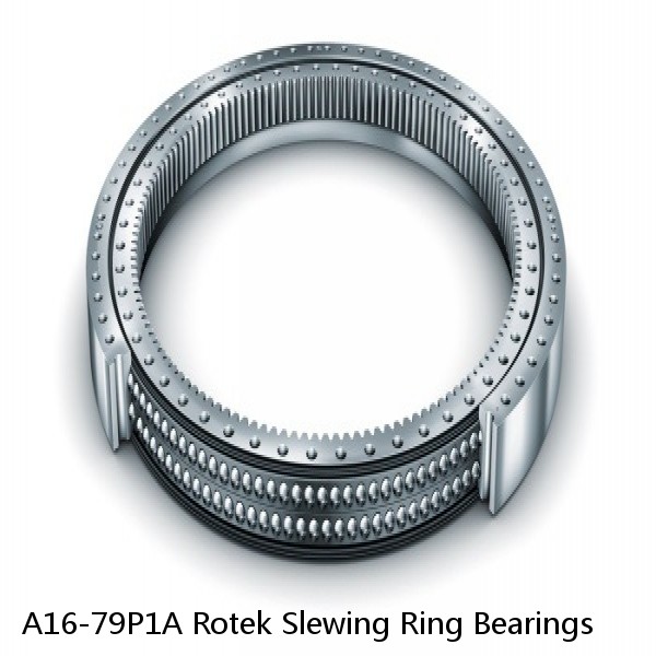 A16-79P1A Rotek Slewing Ring Bearings