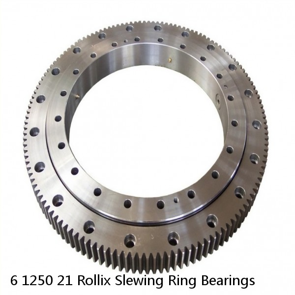 6 1250 21 Rollix Slewing Ring Bearings