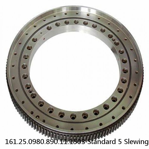161.25.0980.890.11.1503 Standard 5 Slewing Ring Bearings #1 small image