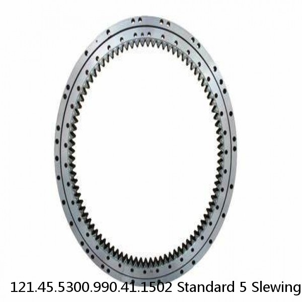 121.45.5300.990.41.1502 Standard 5 Slewing Ring Bearings #1 small image