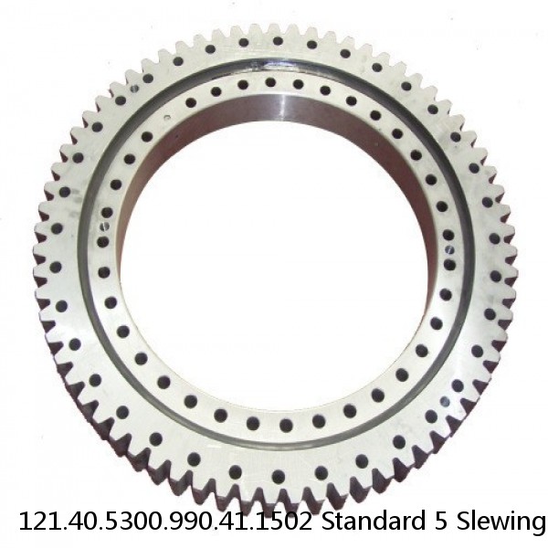 121.40.5300.990.41.1502 Standard 5 Slewing Ring Bearings