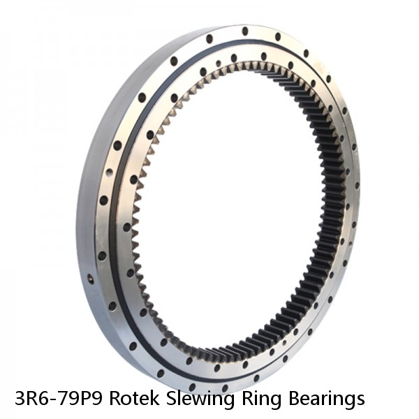 3R6-79P9 Rotek Slewing Ring Bearings #1 small image