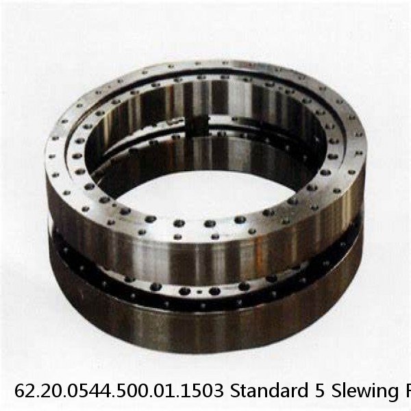 62.20.0544.500.01.1503 Standard 5 Slewing Ring Bearings #1 small image
