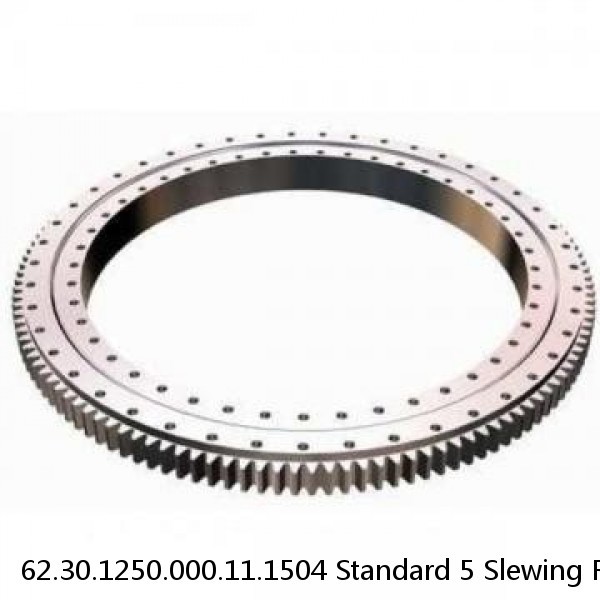 62.30.1250.000.11.1504 Standard 5 Slewing Ring Bearings #1 small image