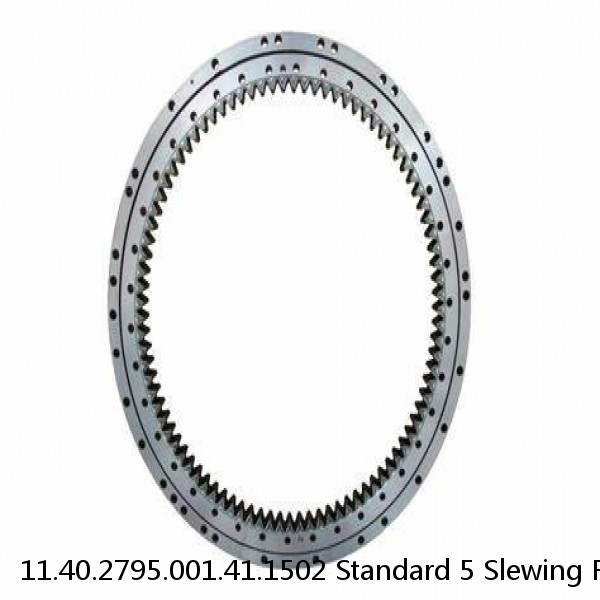 11.40.2795.001.41.1502 Standard 5 Slewing Ring Bearings