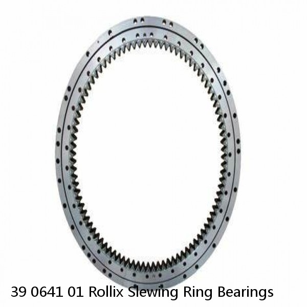 39 0641 01 Rollix Slewing Ring Bearings #1 small image