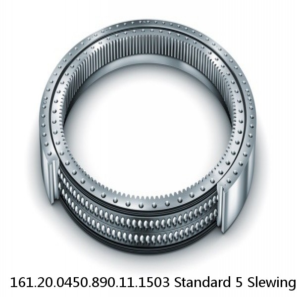 161.20.0450.890.11.1503 Standard 5 Slewing Ring Bearings #1 image