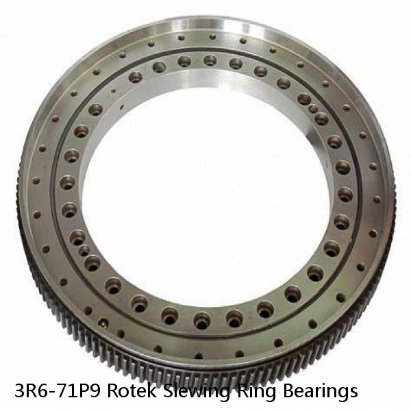 3R6-71P9 Rotek Slewing Ring Bearings #1 image