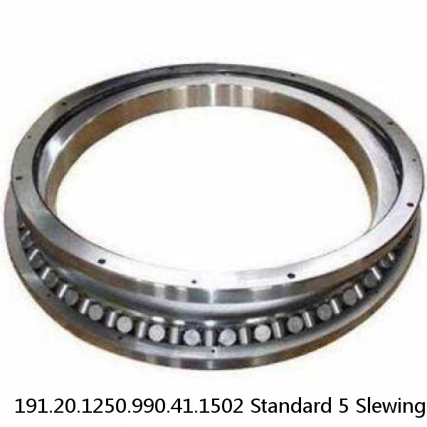 191.20.1250.990.41.1502 Standard 5 Slewing Ring Bearings #1 image
