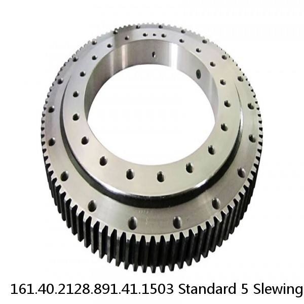 161.40.2128.891.41.1503 Standard 5 Slewing Ring Bearings #1 image