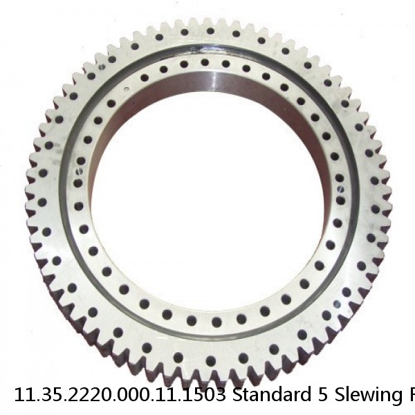 11.35.2220.000.11.1503 Standard 5 Slewing Ring Bearings #1 image