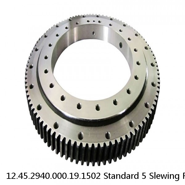 12.45.2940.000.19.1502 Standard 5 Slewing Ring Bearings #1 image