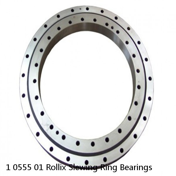 1 0555 01 Rollix Slewing Ring Bearings #1 image