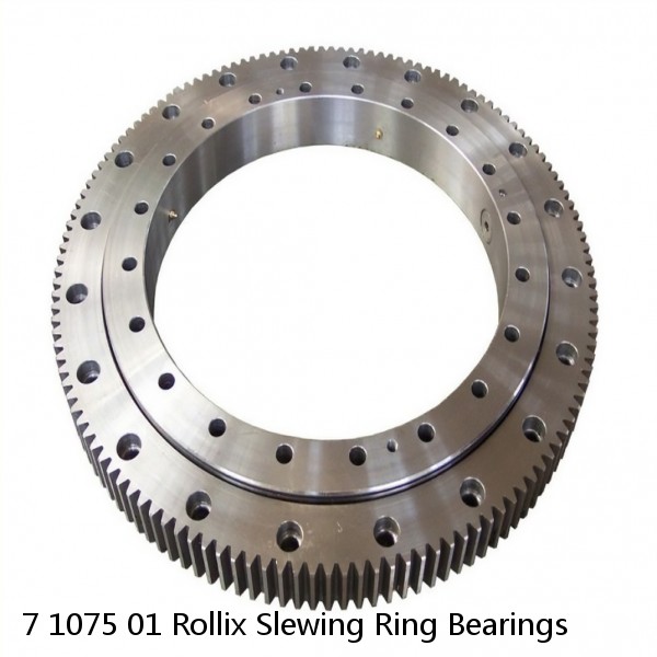 7 1075 01 Rollix Slewing Ring Bearings #1 image