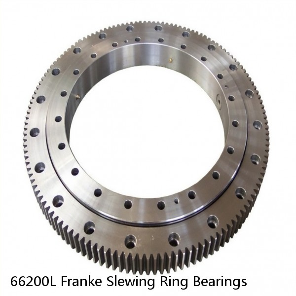 66200L Franke Slewing Ring Bearings #1 image