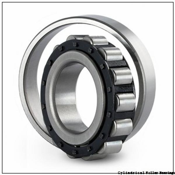 25 mm x 52 mm x 15 mm  NSK NJ 205 W Cylindrical Roller Bearings #3 image